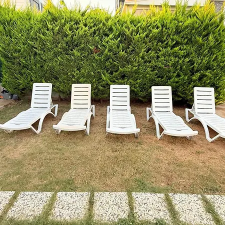 Guru Efeler Didim